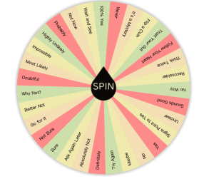 decision maker spinner