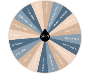 Workout Wheel